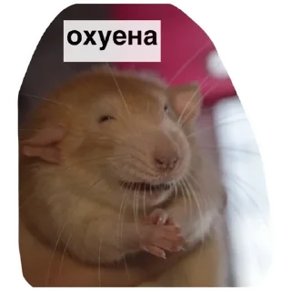 Стикер Больше стикеров тут: @stickers_memy - 2