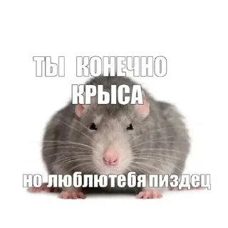 Стикер Больше стикеров тут: @stickers_memy - 7