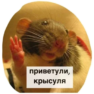 Стикер 💜 Join 👉 @StickBook18 - 3