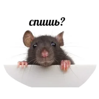 Стикер 💜 Join 👉 @StickBook18 - 11