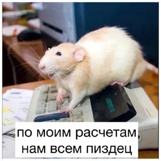 Стикер 💜 Join 👉 @StickBook18 - 10