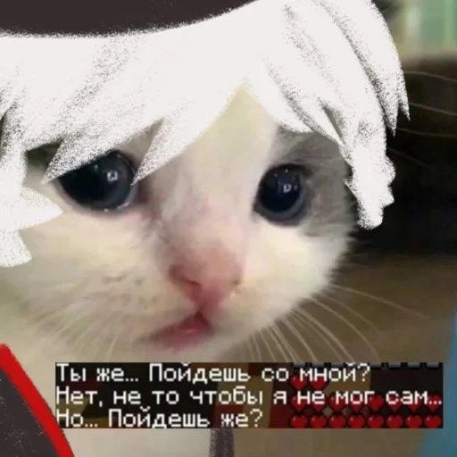 Стикер авицест канон - 2