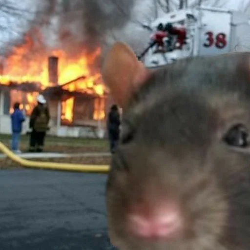 Стикер щури - 3