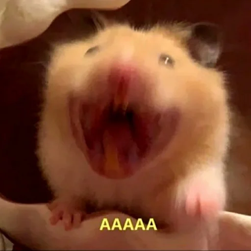 Стикер щури - 0