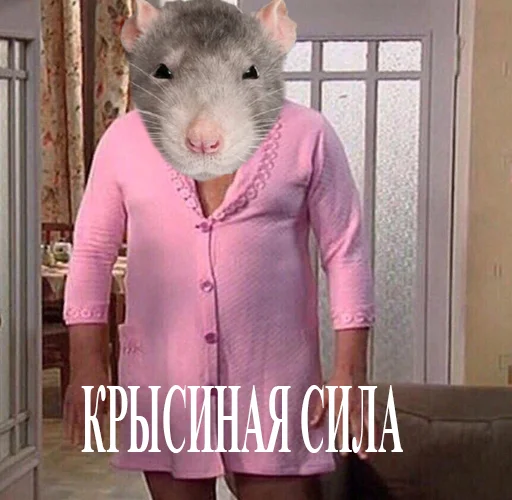 грызун млекопитающее животное