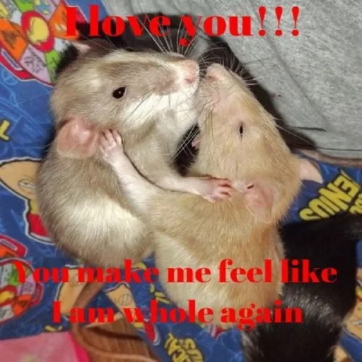 Sticker ratsrule - 1