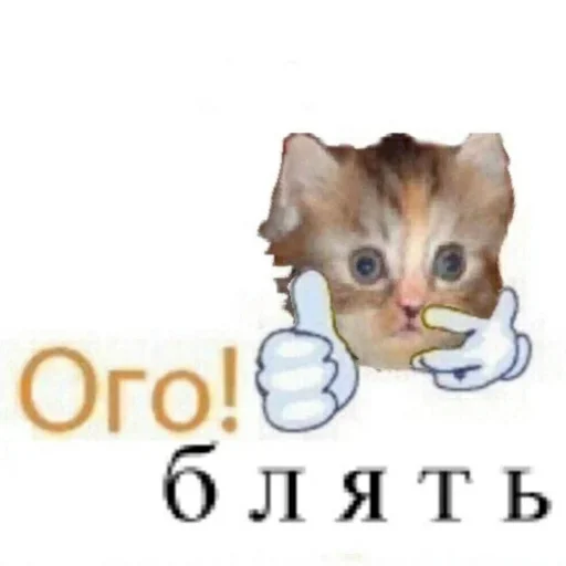 Стикер ratsultimate - 1