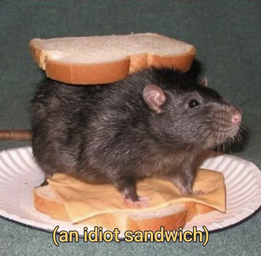 Sticker крысючий пак - 4