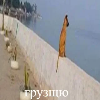 Стикер RAVE CLUB - 6