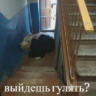 Стикер RAVE CLUB - 1