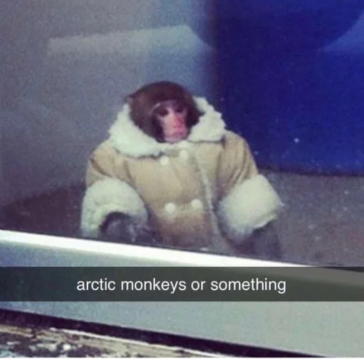 human face monitor mammal