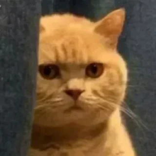 Стикер lanvin2 - 8