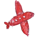 Стикер Ray of Dreams - 2