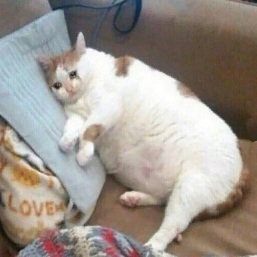 Стикер разъёб 2.0 by @fStikBot - 10