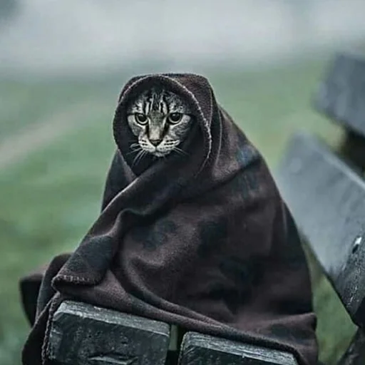 outdoor grass person