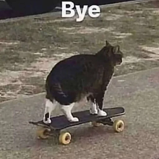 outdoor ground skateboard