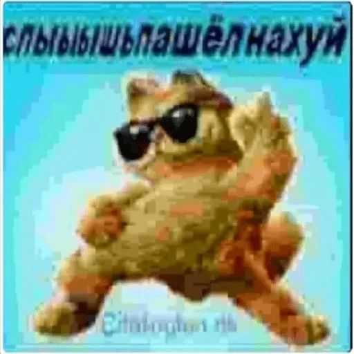 СМС лягушка мультфильм