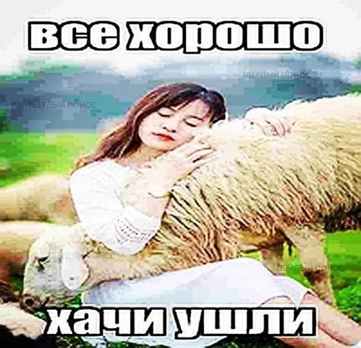 СМС животное млекопитающее