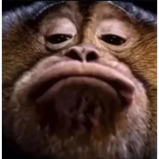 Sticker rbyYOXL_by_stickers_stealer_bot - 1