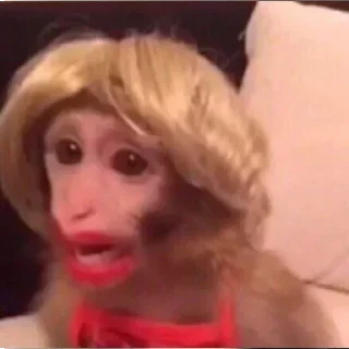 Стикер Больше стикеров 👉🏻 @stickertg4 - 6