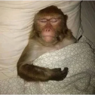 Стикер Больше стикеров 👉🏻 @stickertg4 - 2