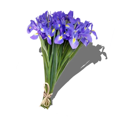 Стикер Цветы КР @devil_yulia - 4