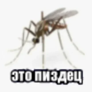 Sticker Создай свои стикеры - @sozdsti_bot - 4