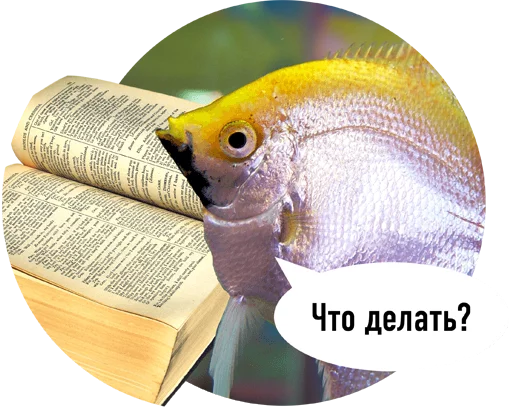 text animal fish