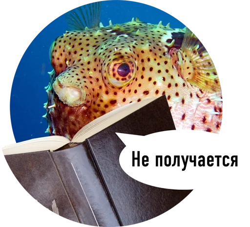 рыба риф организм