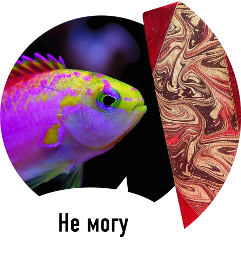 искусство животное творческие способности