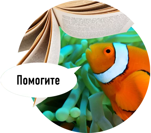 рыба животное мультфильм