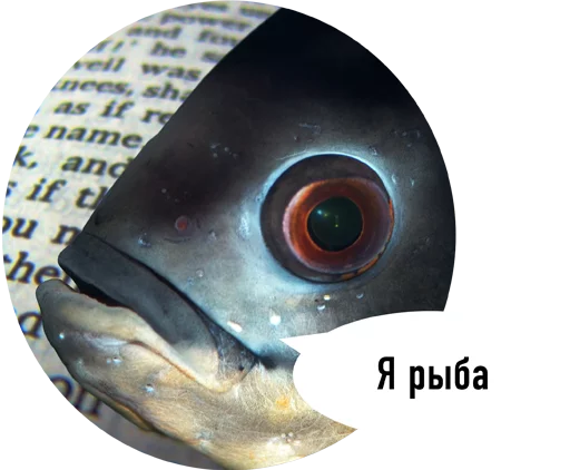 животное рыба морская биология