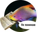 Рыбы пытаются читать - animal