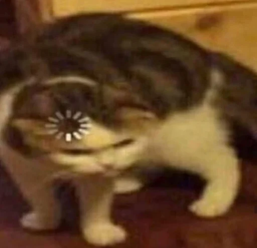 животное млекопитающее кошка