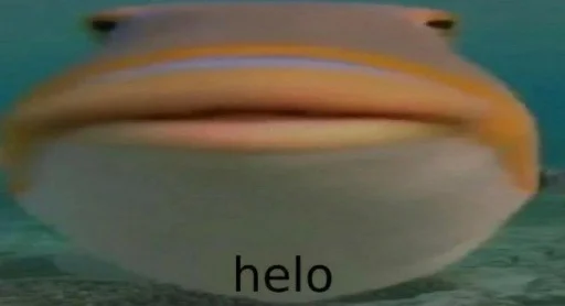 рыба аквариум животное