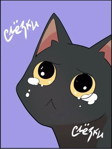 кошка животное мультфильм