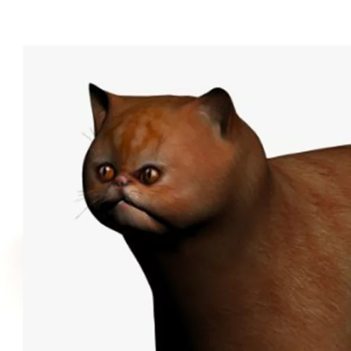 Weird Cat - Человек