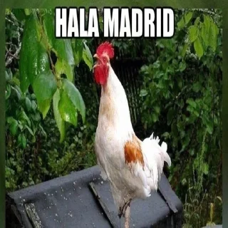 Sticker Real Pidrid - 7