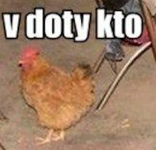 животное СМС птица