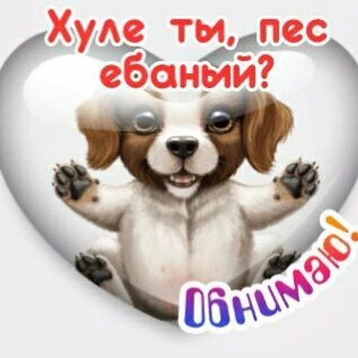 животное СМС порода собак