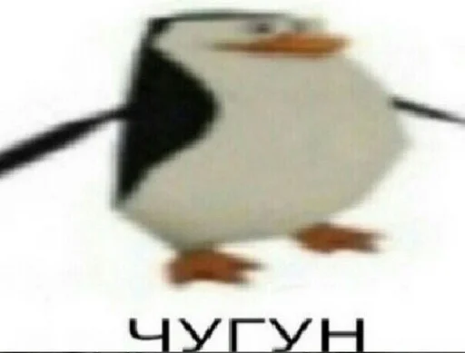 водная птица птица животное