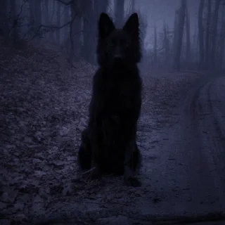 Стикер marauders - 2