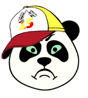 Sticker 15 регион - 9