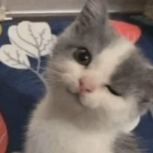 Стикер reinamoods - 1