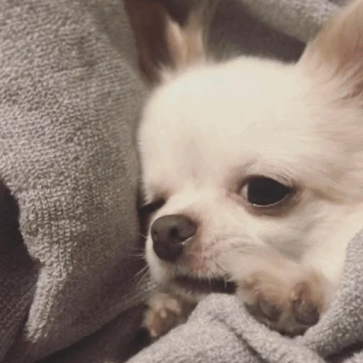 -Mood 🪐 @blueReina - 