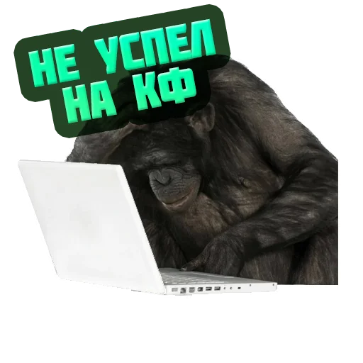 Sticker @reiting_kapperov - 0