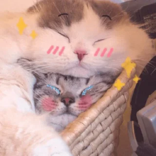 Стикер котикикотики - 11