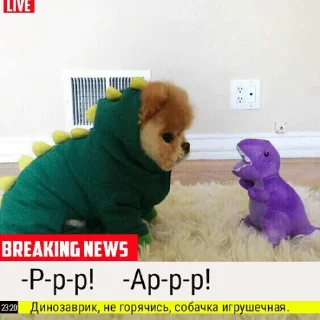 Стикер котикикотики - 4