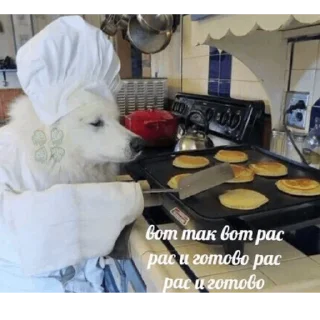 Стикер котикикотики - 8