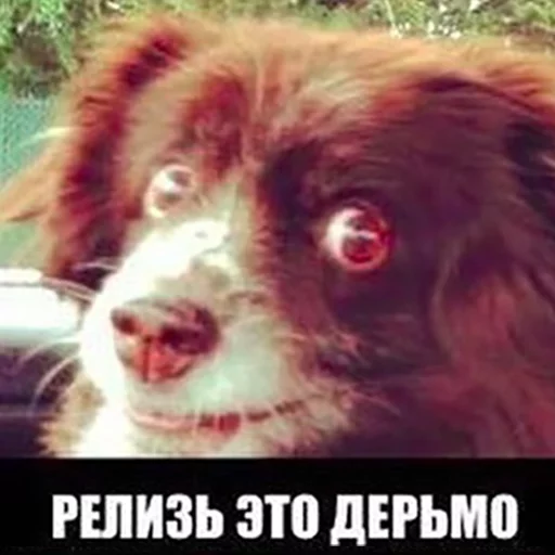 Sticker Release this fucking shit! - 3